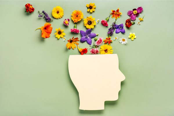Reasons why you are not sucking your own dick 6 psychological